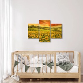 Kép - Napraforgó mező (90x60 cm)