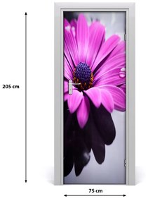 Poszter tapéta ajtóra rózsaszín gerbera 95x205 cm