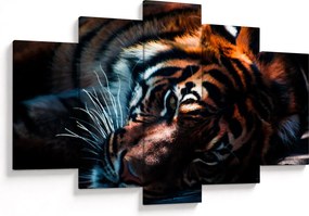 Egy fekvő tigris képe (150x105 cm)