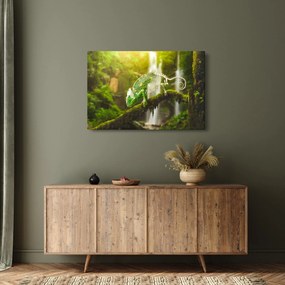 Kaméleon képe (90x60 cm)