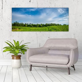 Rét képe (120x50 cm)