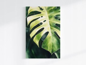 Poszter Növény Zöld Levél Monster Filodendron 80x120