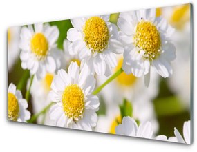 Fali üvegkép Daisy Flowers Nature 120x60cm 2 fogas