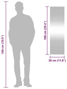 téglalap alakú üveg falitükör 30 x 100 cm