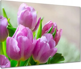 Vászonkép 80x60 Tulipánok Virágok