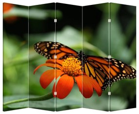 Paraván - Pillangó a virágon (210x170 cm)