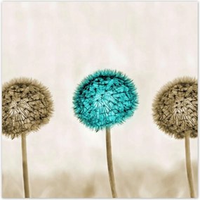 Poszterek 100x100 Wenge és kék