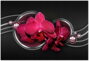 Poszterek 185x125 Orchidea golyókkal