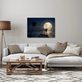 Kép - Strand telihold alatt (70x50 cm)