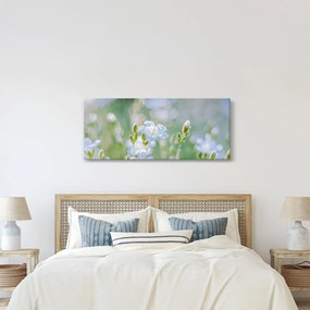 Kép - Finom virágok (120x50 cm)