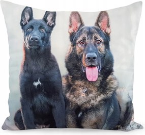 Dekorációs Párnahuzat Jancsi 40x40 Velúr Szép