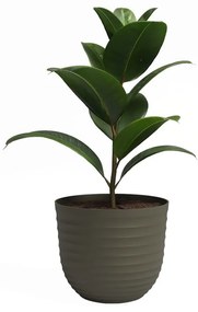 Újrahasznosított műanyag virágcserép ø 30 cm Havana – Artevasi