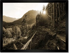 Poszterek keretben 40x30 Szépia tájkép Szépia