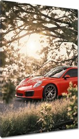 Vászonkép 80x120 Autó Fura Sport
