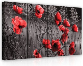 Vászonkép 120x80 Pipacsok mezei virágok fali dekoráció természet nyár mező virágok