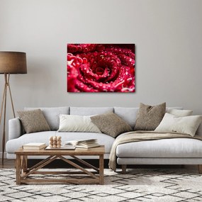 Vörös rózsa virágzata képe (70x50 cm)