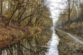 Poszter 91,5x61cm Csatorna az erdőben, Assaf Frank