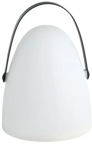 Eglo 48841 - LED Kültéri asztali lámpa COLLIRADOS LED/3xAA IP44