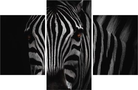 Zebra képe (90x60 cm)