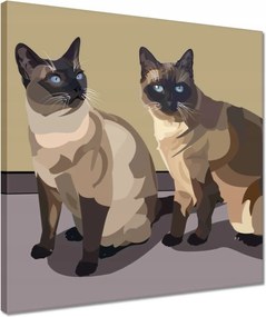 Vászonkép 40x40 Cica Cicák Macskák