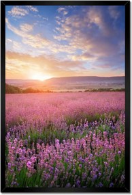 Poszterek keretben 40x60 Csodálatos naplemente