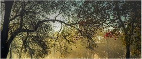 Napkelte képe (120x50 cm)