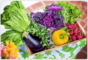 Poszterek 200x135 Zöldségek