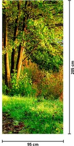 Fotótapéta ajtóra - Sétány a víz mentén (95x205cm)