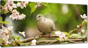 Vászonkép 115x55 Madarak