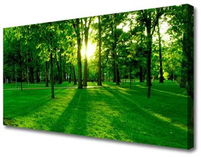 Vászonkép Forest Park Természet 100x50 cm