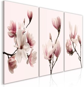 Kép - Spring Magnolias (3 Parts)