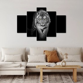 Kép - Sárga szemű tigris (150x105 cm)