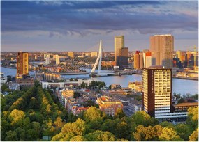 Kép - panoráma Rotterdam, Hollandia (üvegen) (70x50 cm)