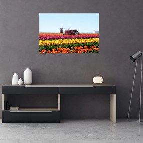 Tulipánfarm képe (90x60 cm)