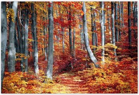 Poszterek 185x125 Tájkép