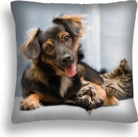 Párna Nagy 50*50 Kutya 17 Macska És Kutya Gyártó