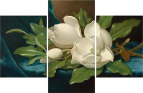Kép - Martin Johnson Heade, Giant Magnolias on a Blue Velvet Cloth, reprodukciók (90x60 cm)