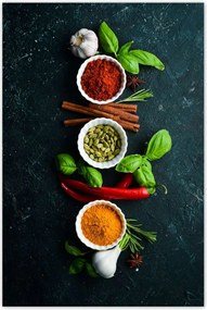 Poszterek 80x120 Színes fűszerek szett
