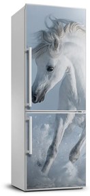 Hűtő matrica Fehér ló FridgeStick-70x190-f-118288885