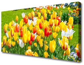 Vászonkép Tulipán virágok természet 100x50 cm