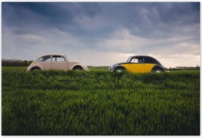 Poszterek 200x135 Volkswagen Bogár