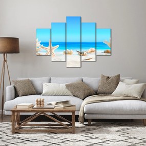 Kép - Csendélet kagylóval (150x105 cm)