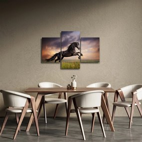 Kép - Lovak (90x60 cm)