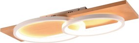 TRIO 641110231 BARCA Modern LED Mennyezeti Lámpa Fehér LED IP20