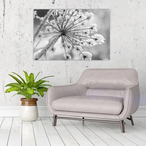 Kép - Virág télen (90x60 cm)