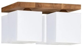 Spot-Light 2284474 - INGER mennyezeti lámpa 4xE27/25W/230V