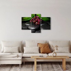 Kép - Lávakövek (90x60 cm)