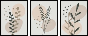 Poszterek 3db 50x70cm virágok növények fű boho grafika botanika triptichon