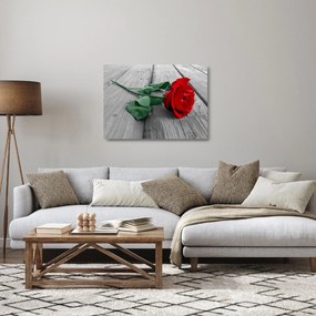 Üveg kép - Piros rózsa zöld szárral (70x50 cm)