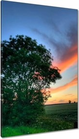 Vászonkép 80x120 Lángoló égbolt